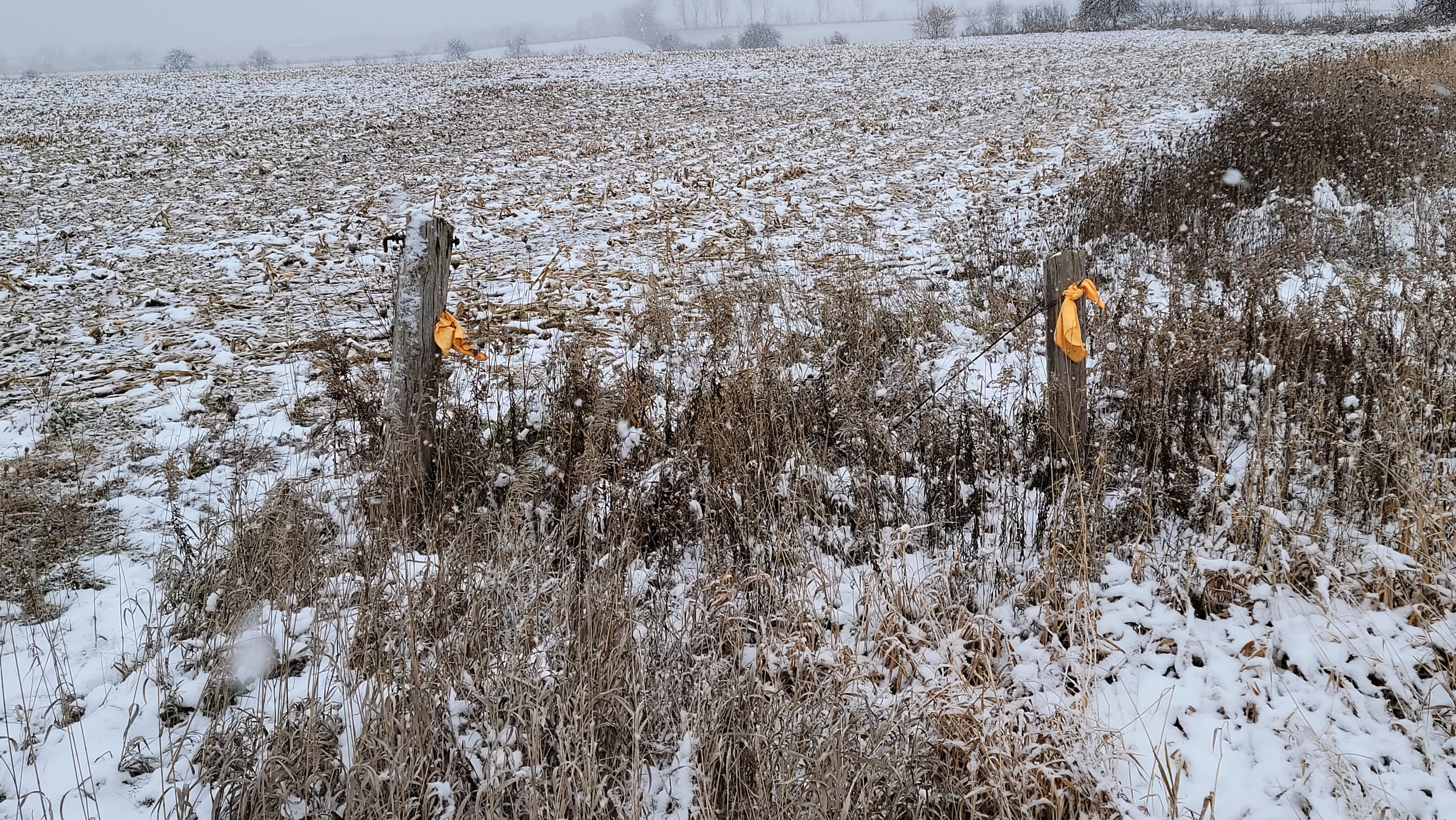 Vacant Land for Place of Worship preview 19